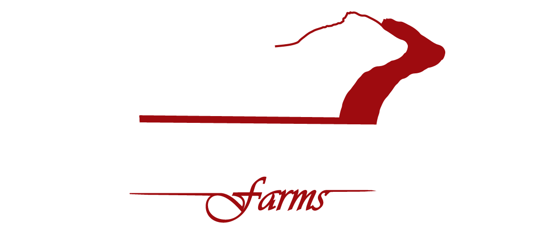 Twin Heritage Logo